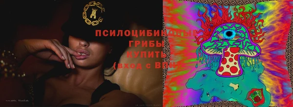 альфа пвп Беломорск