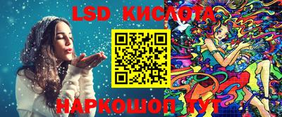 крисы Кулебаки