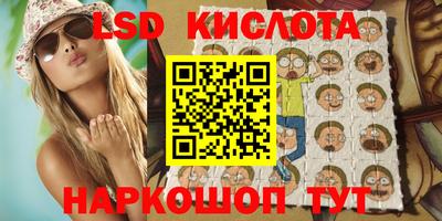 крисы Кулебаки