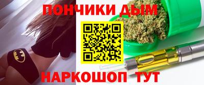 крисы Кулебаки