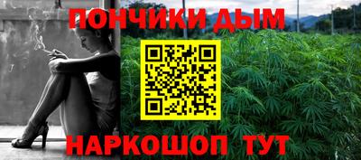 крисы Кулебаки