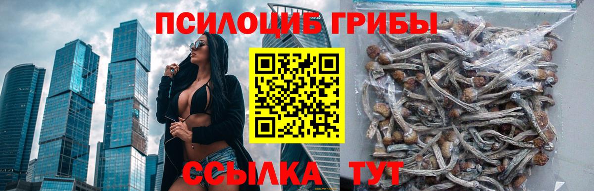 Псилоцибиновые грибы MAGIC MUSHROOMS Реутов