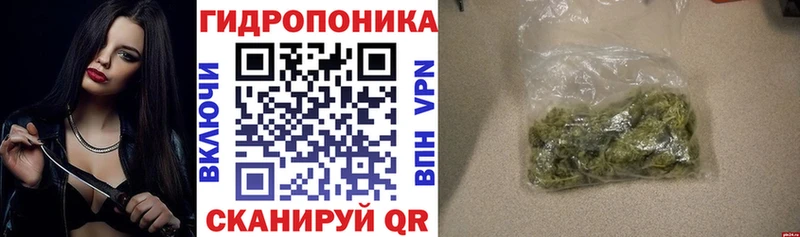 Бошки Шишки MAZAR  Реутов 