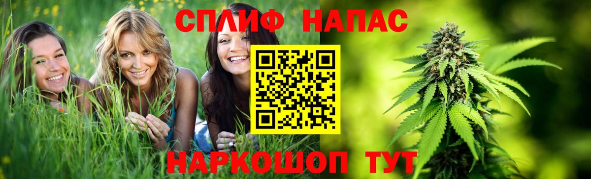 Марихуана MAZAR  Шишки марихуана тримм  Бошки марихуана OG Kush  Вход с VPN  Реутов  Бошки марихуана OG Kush 